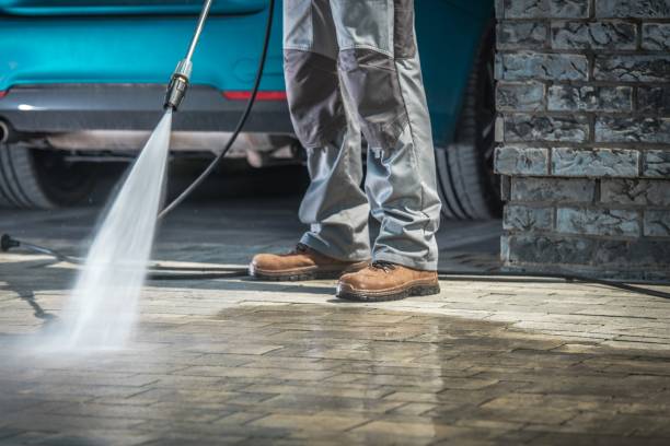 Best Animal Enclosure Cleaning  in Schofield, WI